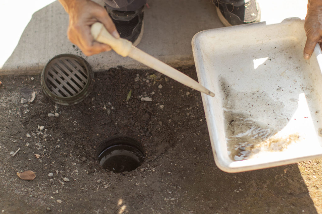 Larvae Inspections