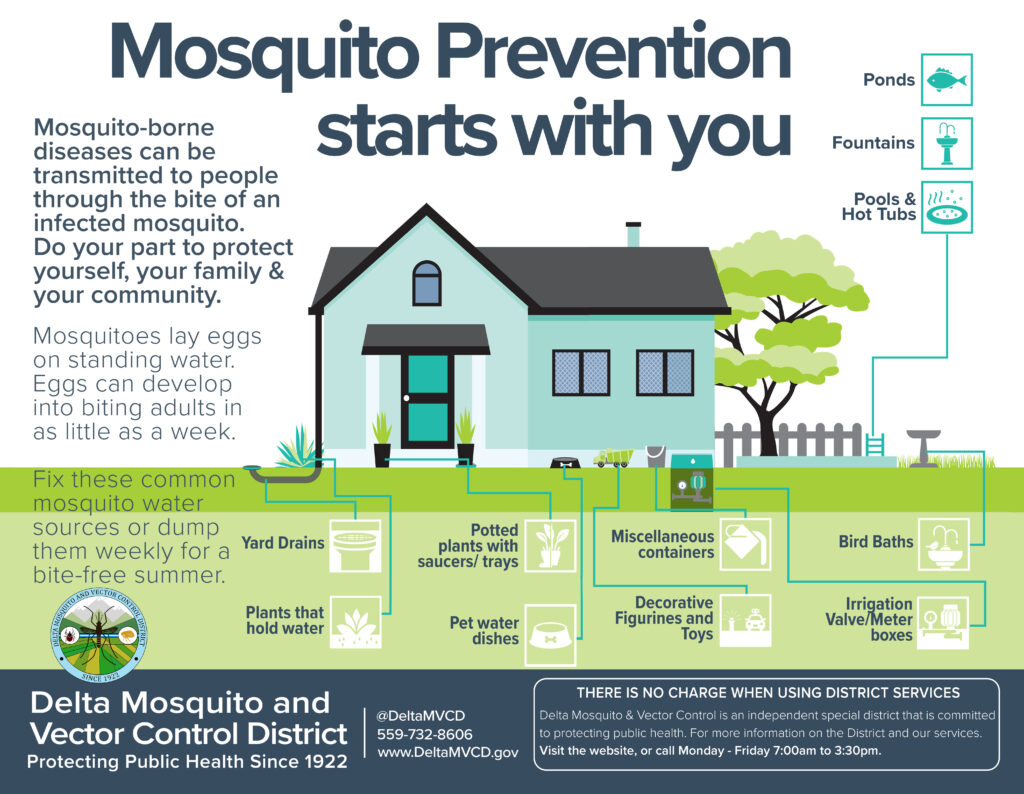 Animated graphic displaying common sources found in a typical backyard. 